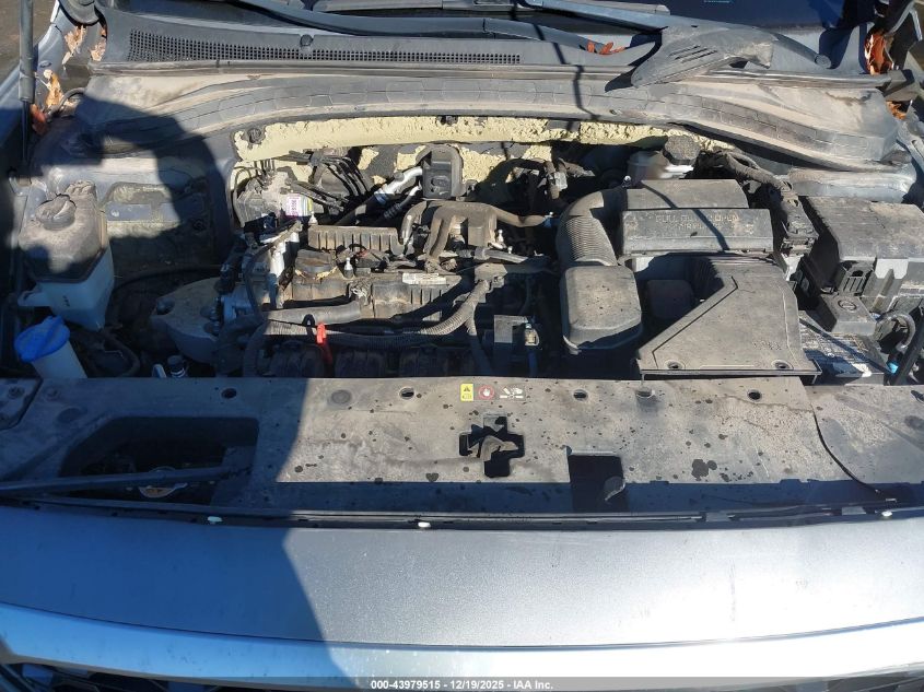 2020 Hyundai Santa Fe Se VIN: 5NMS2CAD8LH141795 Lot: 43979515