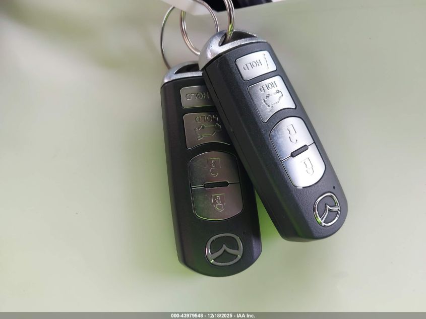 2016 Mazda Cx-9 Touring VIN: JM3TCACYXG0124645 Lot: 43979548