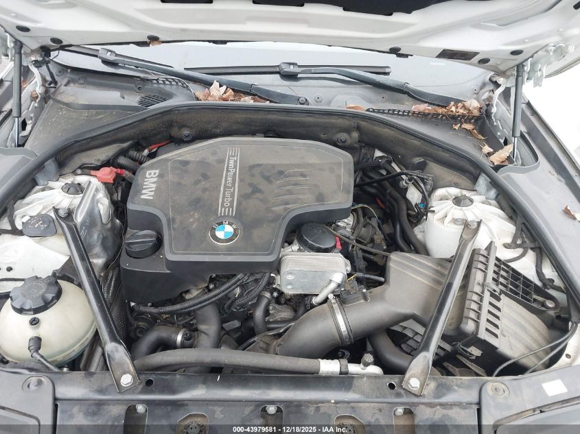 2013 BMW 528I VIN: WBAXG5C52DD229029 Lot: 43979581