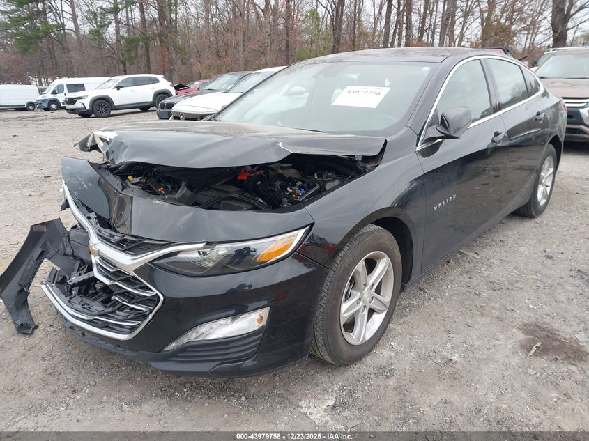 2024 Chevrolet Malibu Fwd 1Lt