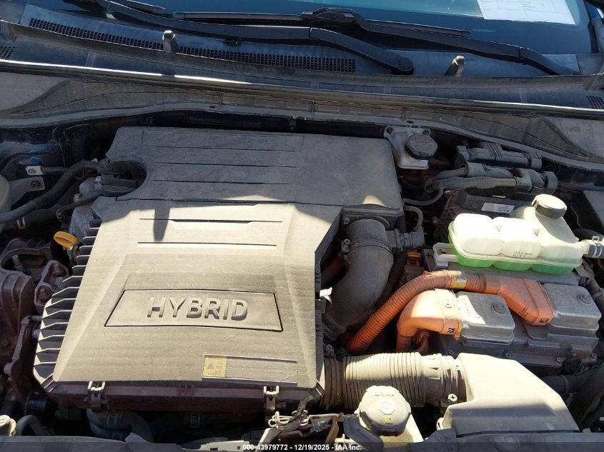 2019 Kia Niro Ex VIN: KNDCC3LC1K5346124 Lot: 43979772