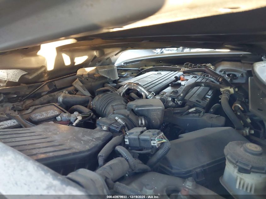 2008 Honda Accord 2.4 Lx-P VIN: JHMCP26438C020458 Lot: 43979933