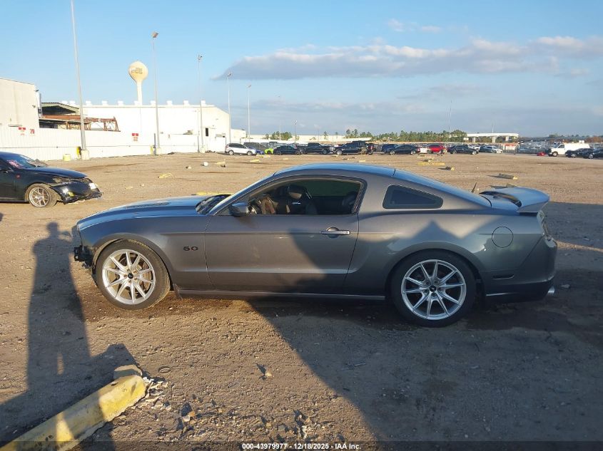 2013 Ford Mustang Gt Premium VIN: 1ZVBP8CF5D5241321 Lot: 43979977