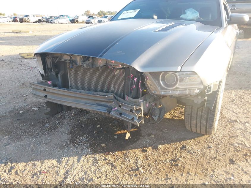 2013 Ford Mustang Gt Premium VIN: 1ZVBP8CF5D5241321 Lot: 43979977