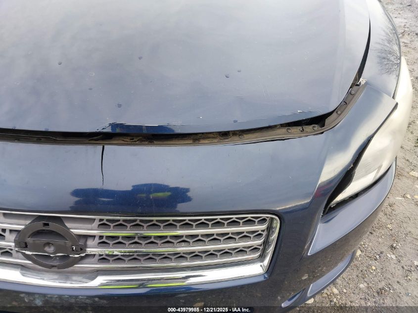 2009 Nissan Maxima 3.5 Sv VIN: 1N4AA51E49C843824 Lot: 43979985