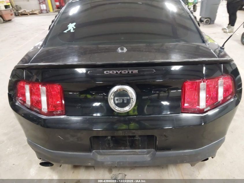 2011 Ford Mustang Gt VIN: 1ZVBP8CF8B5146961 Lot: 43980289
