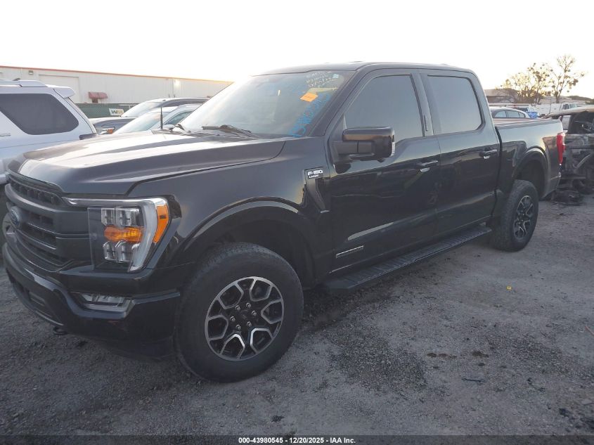 2023 Ford F-150 Lariat VIN: 1FTFW1ED9PFB93024 Lot: 43980545