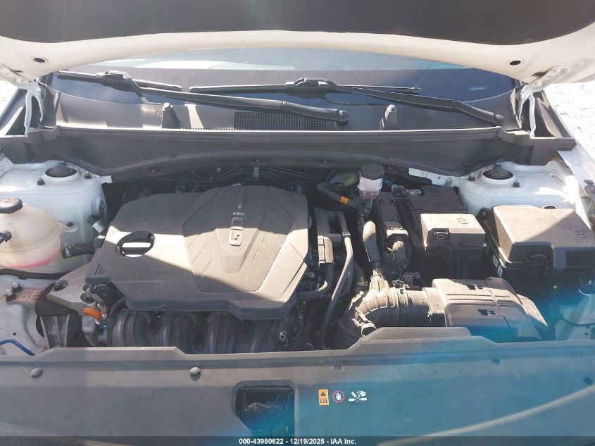 2023 Kia Sportage Ex VIN: 5XYK33AF6PG116389 Lot: 43980622