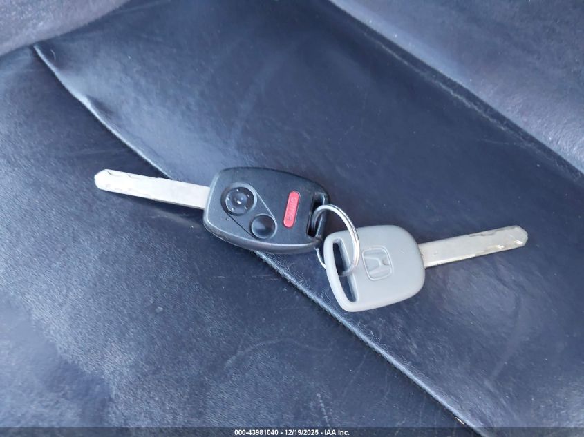 2007 Honda Cr-V Ex-L VIN: JHLRE387X7C048242 Lot: 43981040