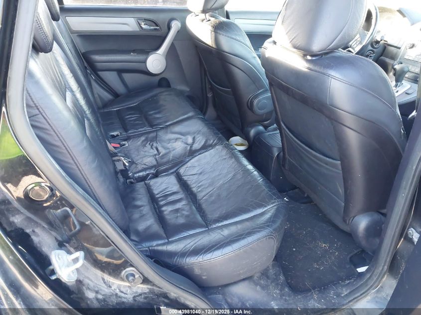 2007 Honda Cr-V Ex-L VIN: JHLRE387X7C048242 Lot: 43981040