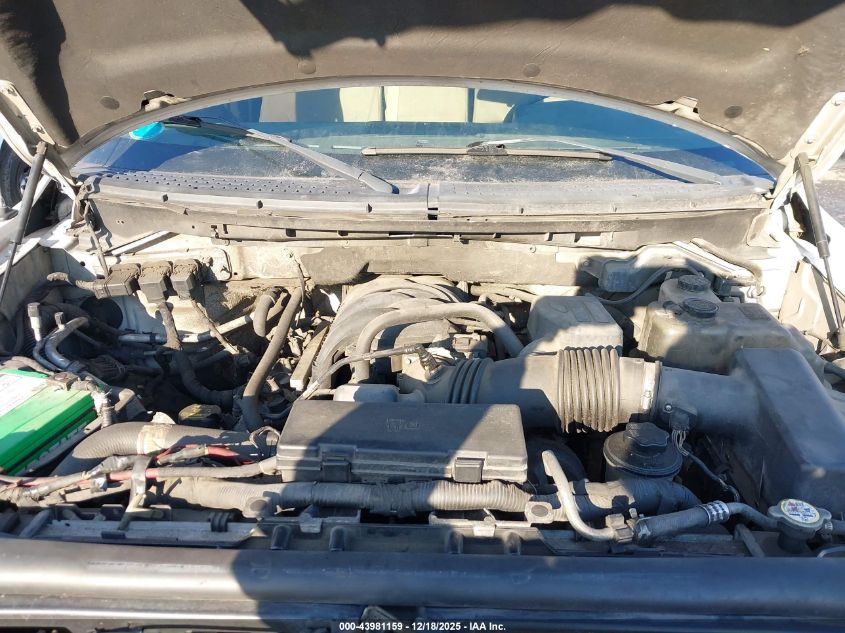 2010 Ford F-150 Stx/Xl/Xlt VIN: 1FTEX1E80AFC46356 Lot: 43981159