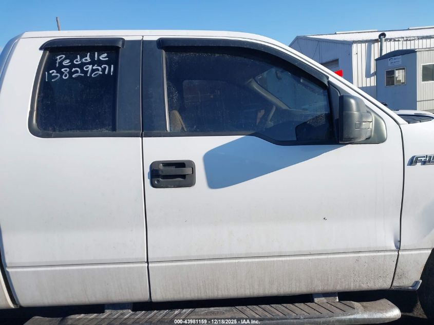 2010 Ford F-150 Stx/Xl/Xlt VIN: 1FTEX1E80AFC46356 Lot: 43981159