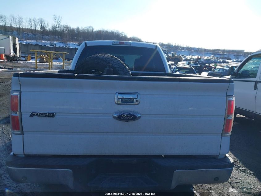 2010 Ford F-150 Stx/Xl/Xlt VIN: 1FTEX1E80AFC46356 Lot: 43981159