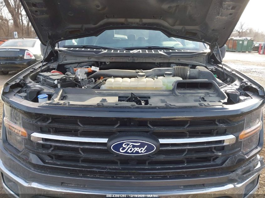 2024 Ford F-150 Xlt VIN: 1FTFW3LD1RFA25184 Lot: 43981293