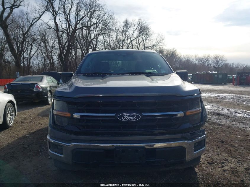 2024 Ford F-150 Xlt VIN: 1FTFW3LD1RFA25184 Lot: 43981293