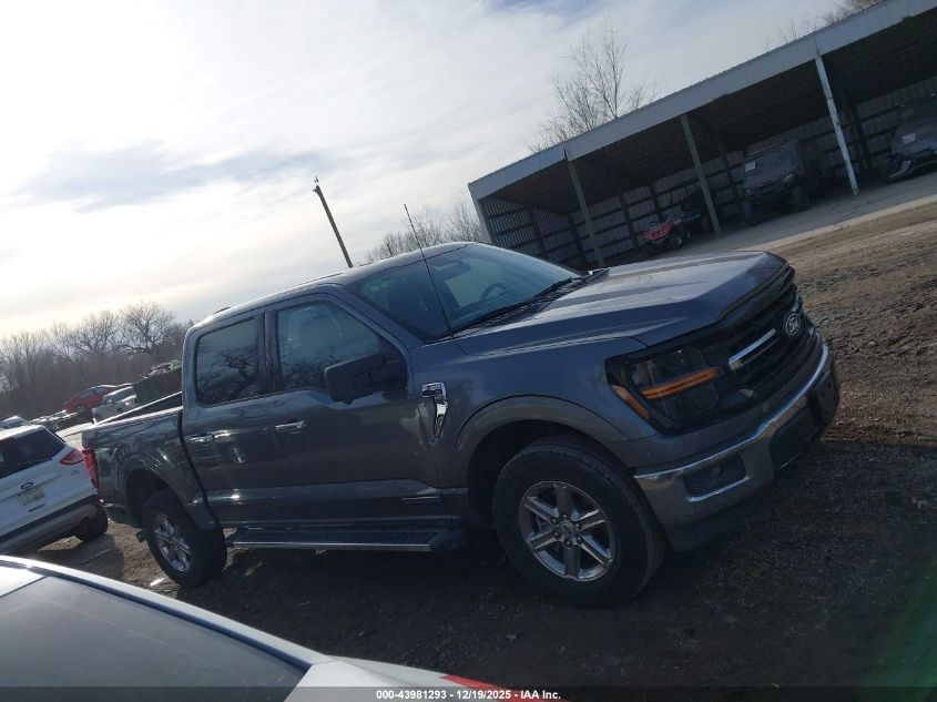 2024 Ford F-150 Xlt VIN: 1FTFW3LD1RFA25184 Lot: 43981293