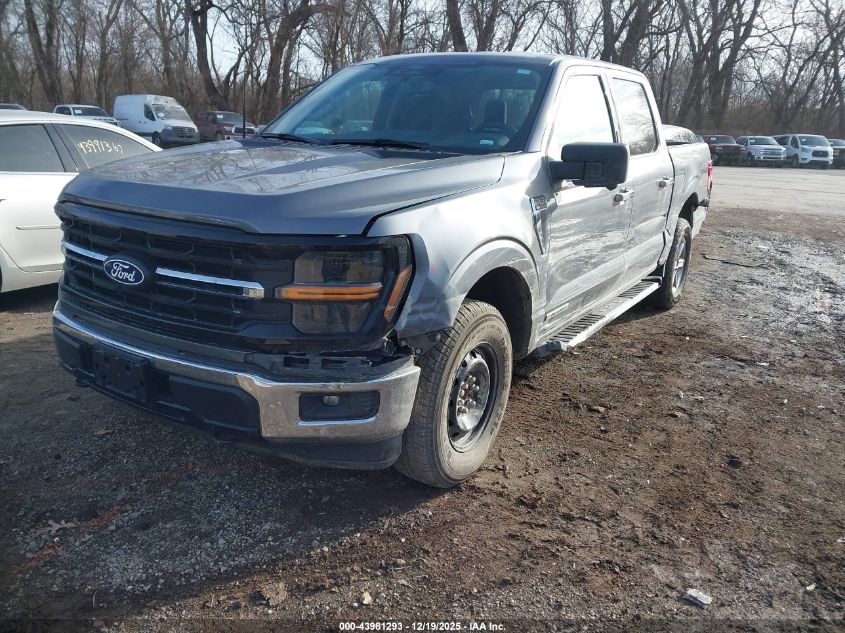 2024 Ford F-150 - 1FTFW3LD1RFA25184