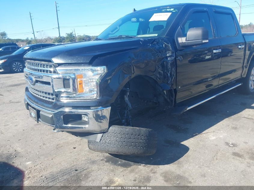 2020 Ford F-150 Xlt VIN: 1FTEW1E46LKF07810 Lot: 43981328