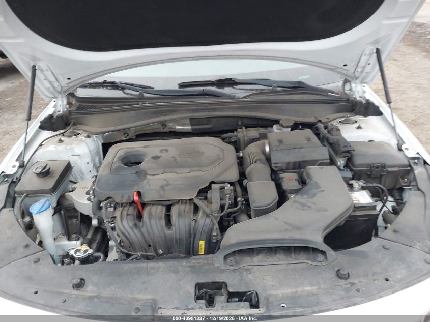 2020 Kia Optima Lx VIN: 5XXGT4L3XLG393804 Lot: 43981337