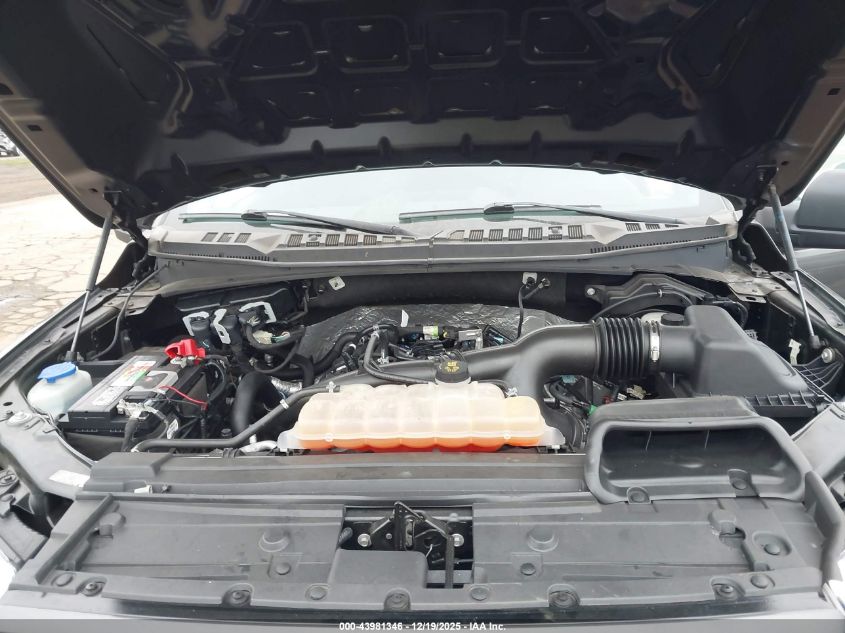 2019 Ford F-150 Xl VIN: 1FTEW1EP2KKC04564 Lot: 43981346