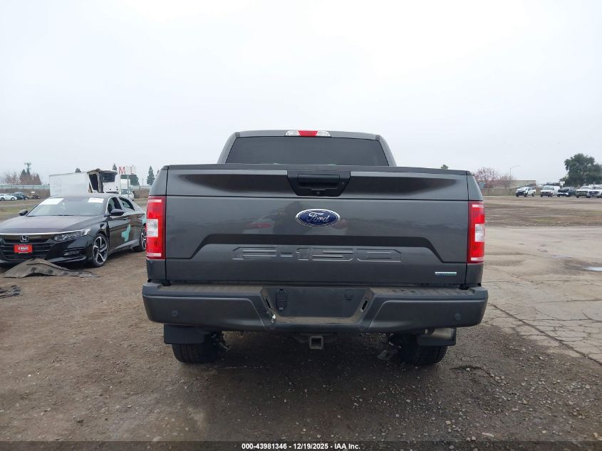 2019 Ford F-150 Xl VIN: 1FTEW1EP2KKC04564 Lot: 43981346