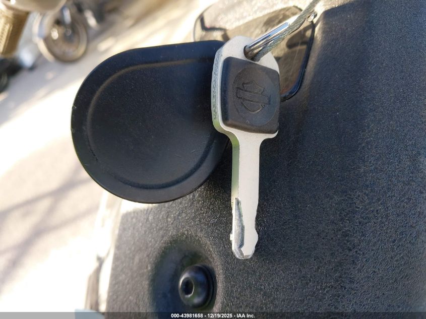 2023 Harley-Davidson Fxlrs VIN: 1HD1YWZ13PB072111 Lot: 43981658