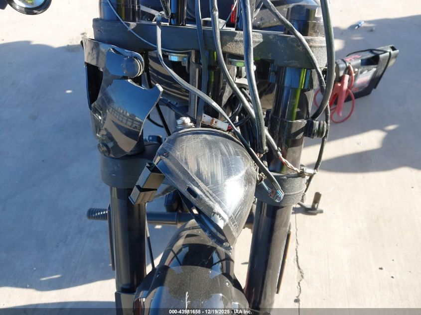 2023 Harley-Davidson Fxlrs VIN: 1HD1YWZ13PB072111 Lot: 43981658