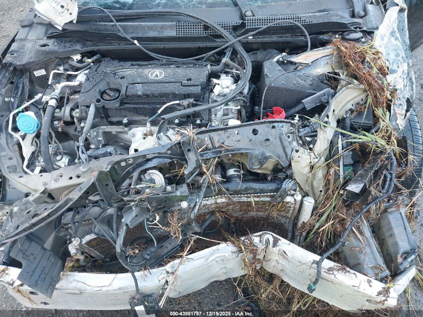 2021 Acura Ilx Premium A-Spec Packages/Technology A-Spec Packages VIN: 19UDE2F82MA009067 Lot: 43981797