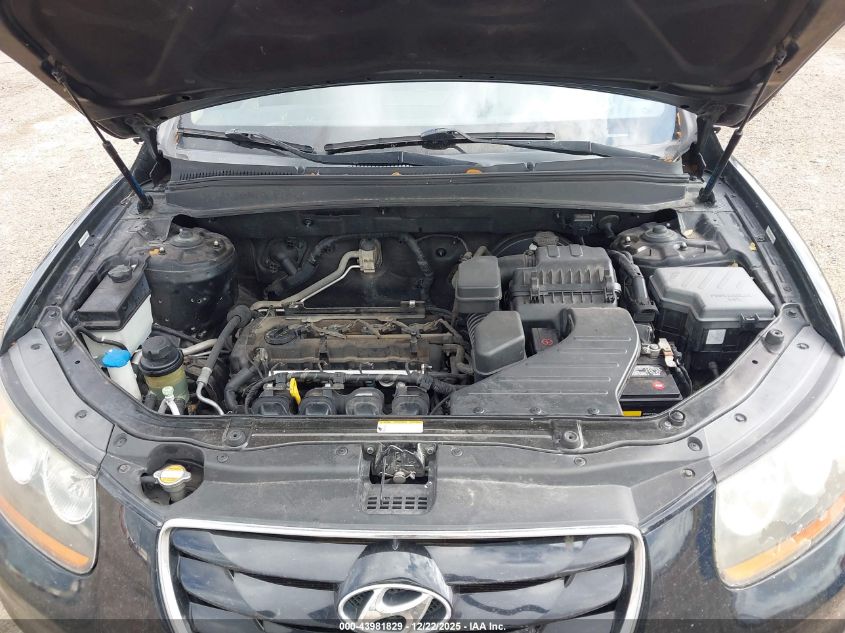 2010 Hyundai Santa Fe Gls VIN: 5NMSG3AB8AH391213 Lot: 43981829