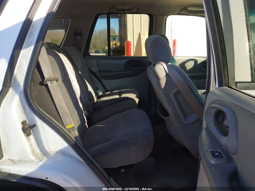 2004 Chevrolet Trailblazer Ls VIN: 1GNDS13S042139898 Lot: 43981830