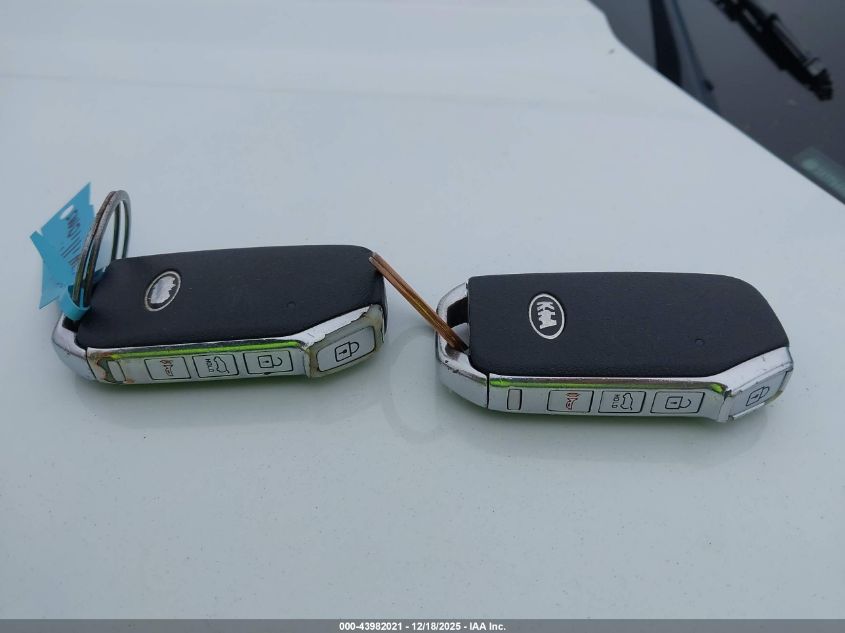 2020 Kia Telluride S VIN: 5XYP64HCXLG089710 Lot: 43982021