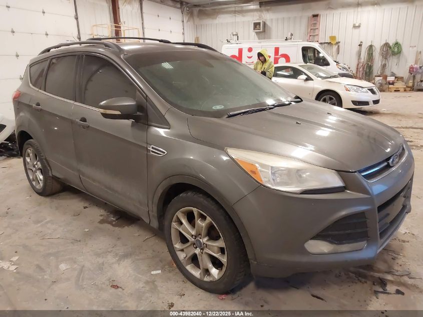 2013 Ford Escape Sel VIN: 1FMCU0HX8DUC10102 Lot: 43982040