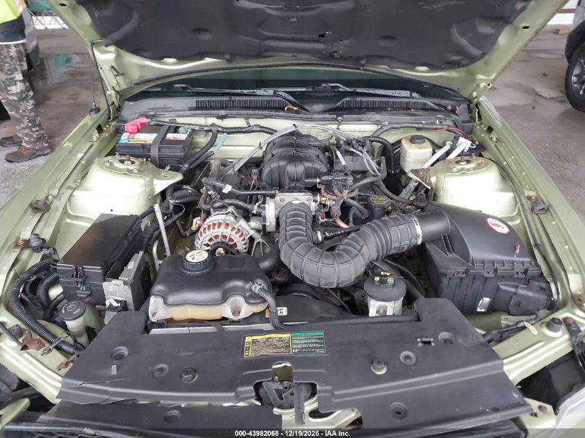 2006 Ford Mustang V6 VIN: 1ZVFT80N265174219 Lot: 43982068