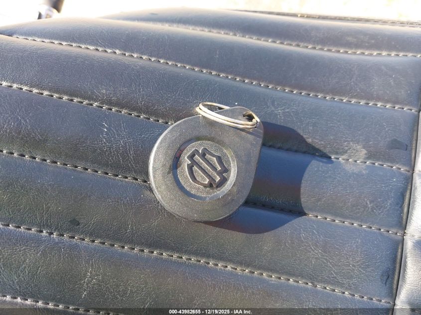 2023 Harley-Davidson Fxst VIN: 1HD1BVJ10PB061493 Lot: 43982655