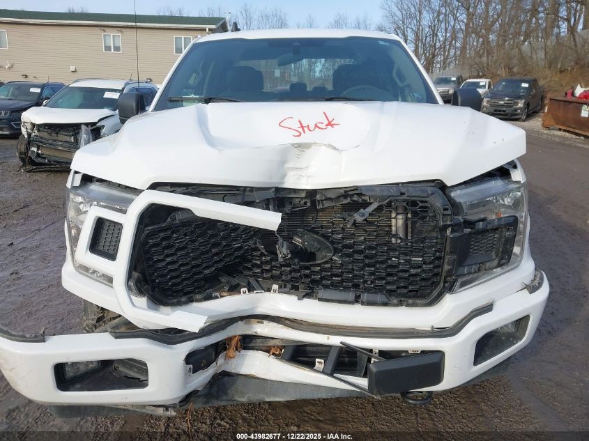 2020 Ford F-150 Xl VIN: 1FTEW1EP7LFC65032 Lot: 43982677