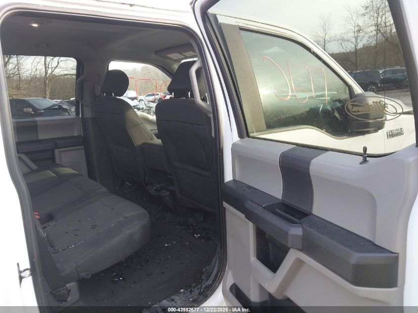 2020 Ford F-150 Xl VIN: 1FTEW1EP7LFC65032 Lot: 43982677