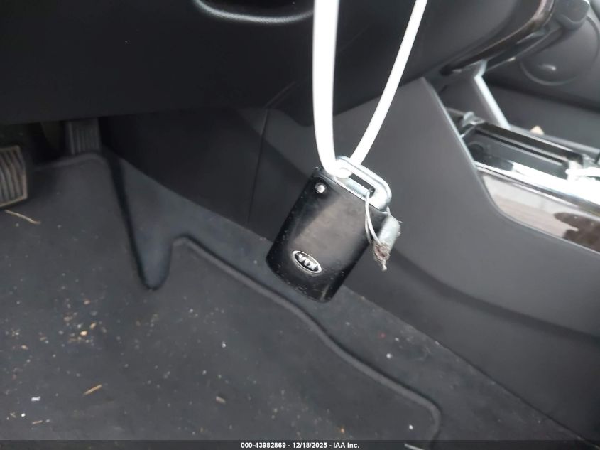 2014 Kia Cadenza Premium VIN: KNALN4D74E5128472 Lot: 43982869