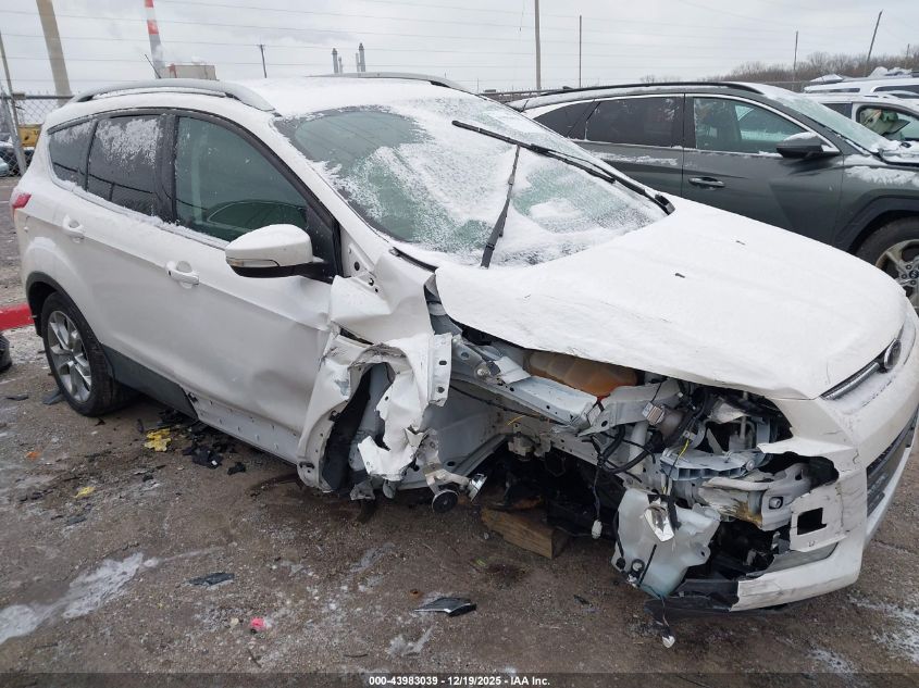 2014 Ford Escape Titanium VIN: 1FMCU0J93EUB12480 Lot: 43983039