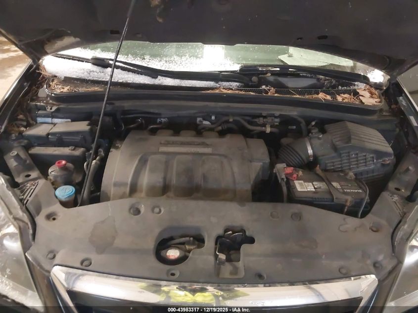 2007 Honda Odyssey Ex-L VIN: 5FNRL38787B095680 Lot: 43983317