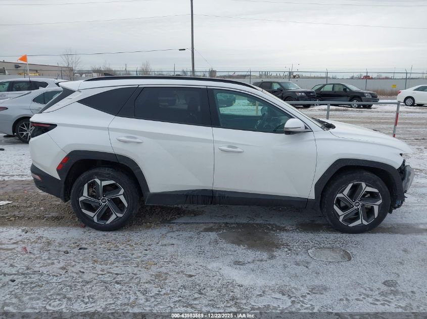 2023 Hyundai Tucson Limited VIN: 5NMJECAE2PH274604 Lot: 43983589