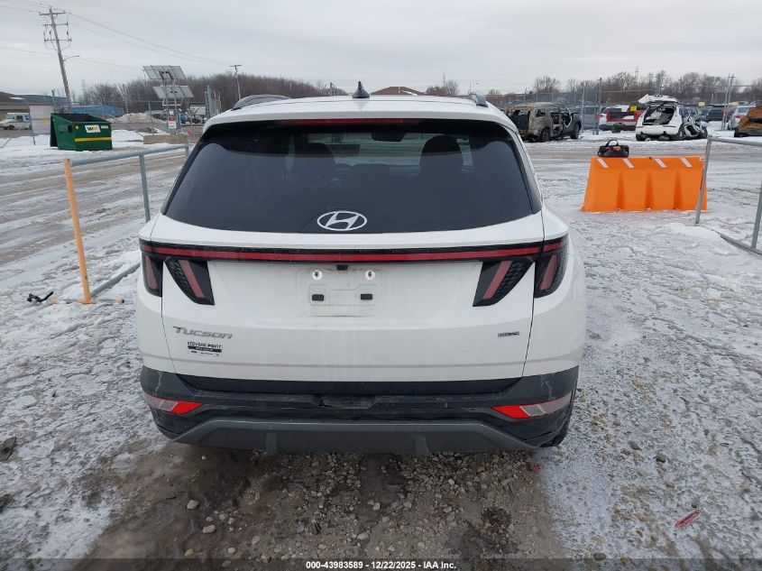 2023 Hyundai Tucson Limited VIN: 5NMJECAE2PH274604 Lot: 43983589