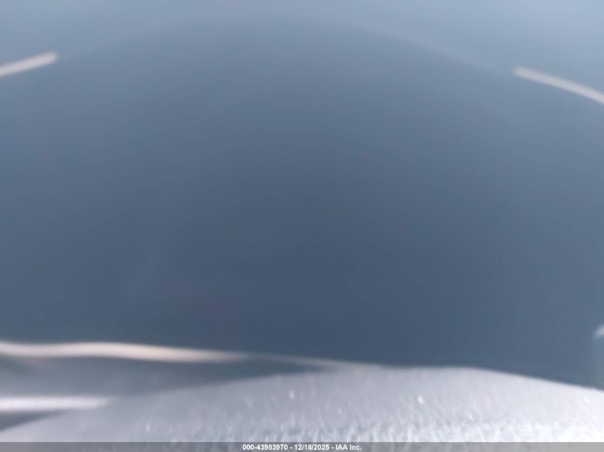 2014 Kia Cadenza Premium VIN: KNALN4D76E5136217 Lot: 43983970