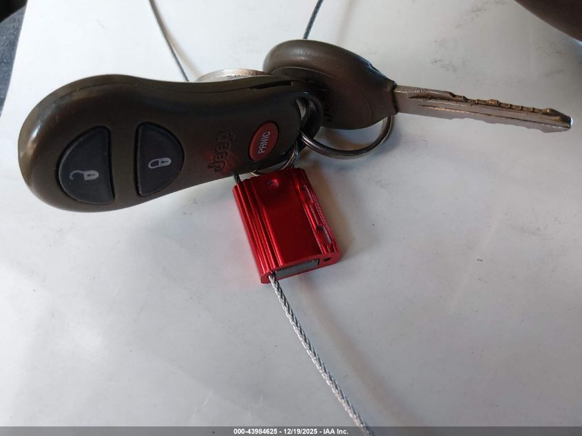 2002 Jeep Grand Cherokee Limited VIN: 1J8GW58N32C209253 Lot: 43984625