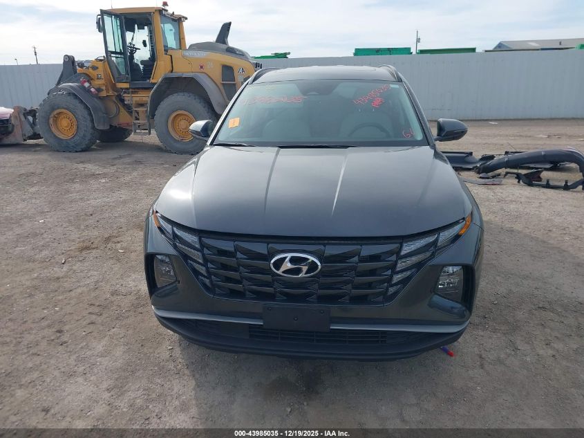 2024 Hyundai Tucson Sel VIN: 5NMJF3DE0RH342572 Lot: 43985035