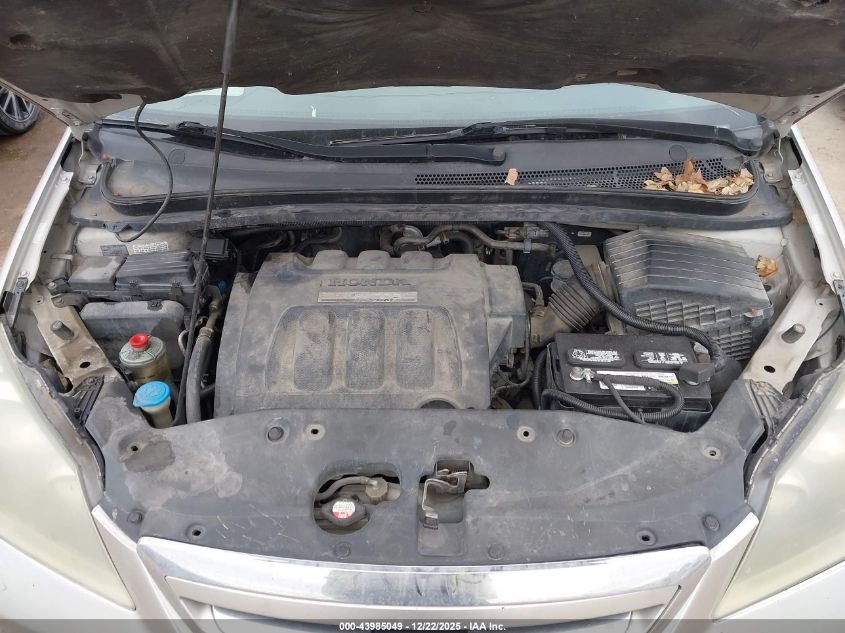 2006 Honda Odyssey Ex-L VIN: 5FNRL38736B454321 Lot: 43985049