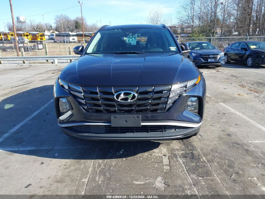 2022 Hyundai Tucson Hybrid Blue VIN: KM8JBCA14NU011151 Lot: 43985128