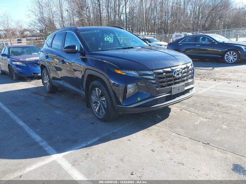 2022 Hyundai Tucson Hybrid Blue VIN: KM8JBCA14NU011151 Lot: 43985128