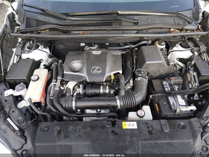 2019 Lexus Nx 300 VIN: JTJBARBZ6K2183916 Lot: 43985209