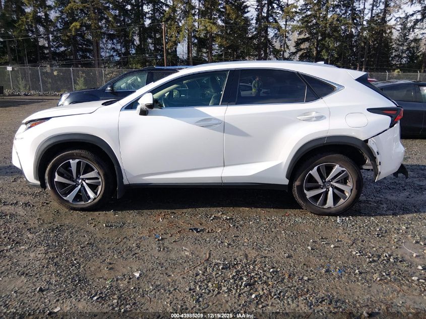 2019 Lexus Nx 300 VIN: JTJBARBZ6K2183916 Lot: 43985209