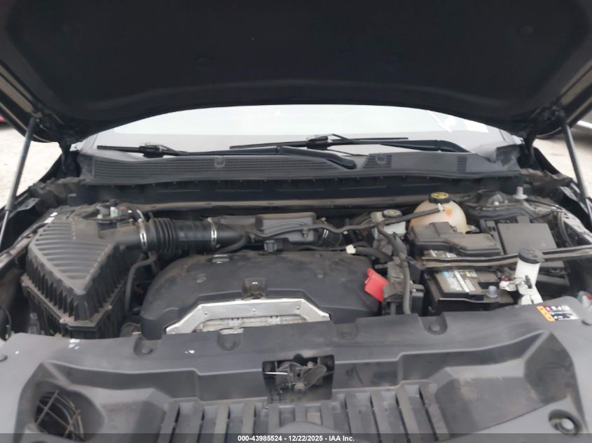 2019 Chevrolet Blazer VIN: 3GNKBBRA3KS689951 Lot: 43985524